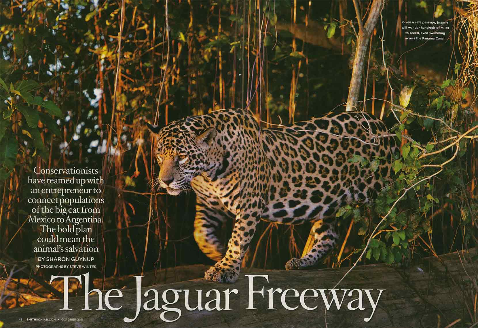 Smithsonian_Jag_Tearsheet_Web
